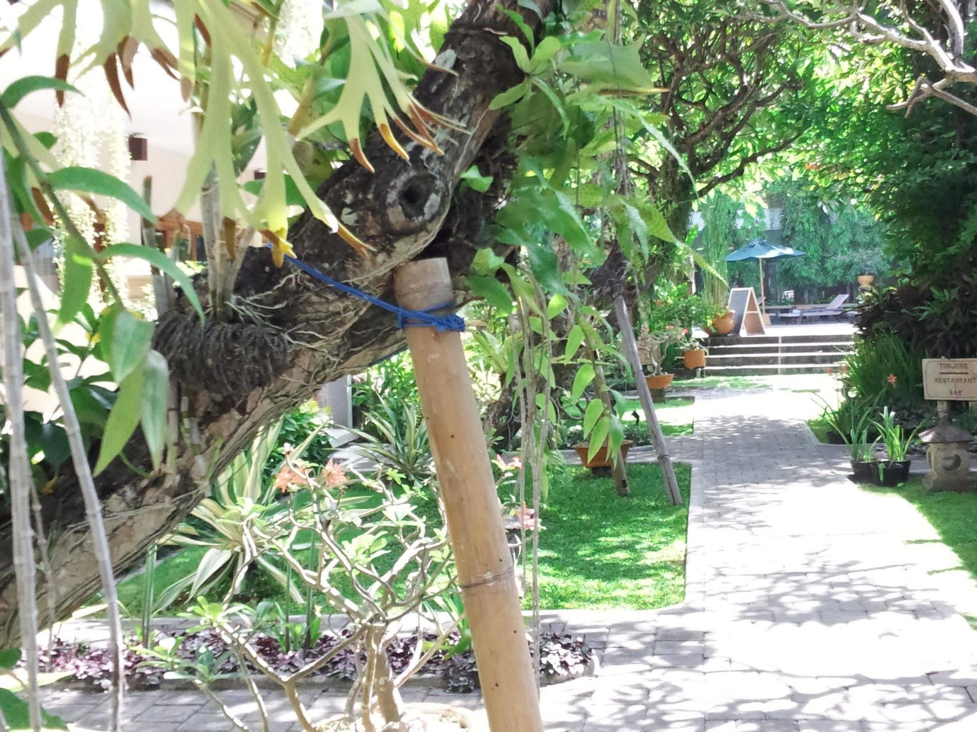 Mentari Sanur Hotel Bagian luar foto